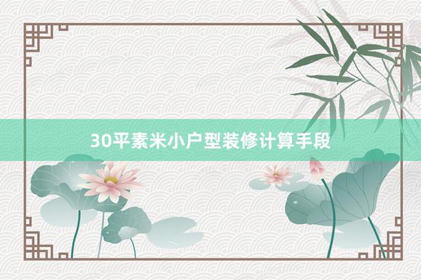 30平素米小户型装修计算手段
