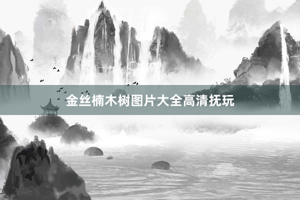 金丝楠木树图片大全高清抚玩